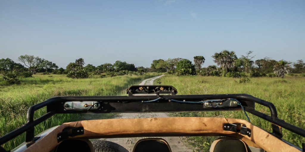 Wildlife drive at Saadani National Park