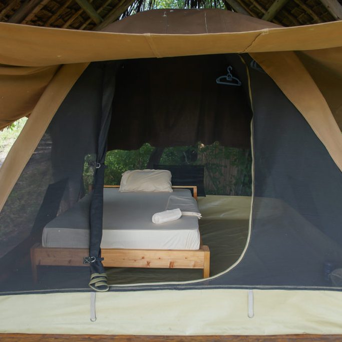 Miseni Retreat Safari Tent