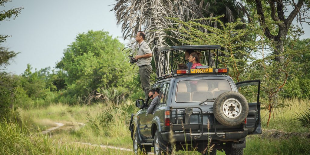 A game drive at Saadani National Park