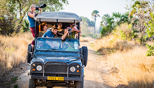 Wildlife drive