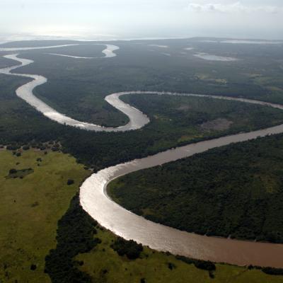 The River